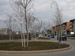 Titan, Parcul Teilor, teren 720 mp